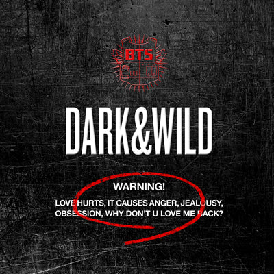 BTS - DARK&WILD